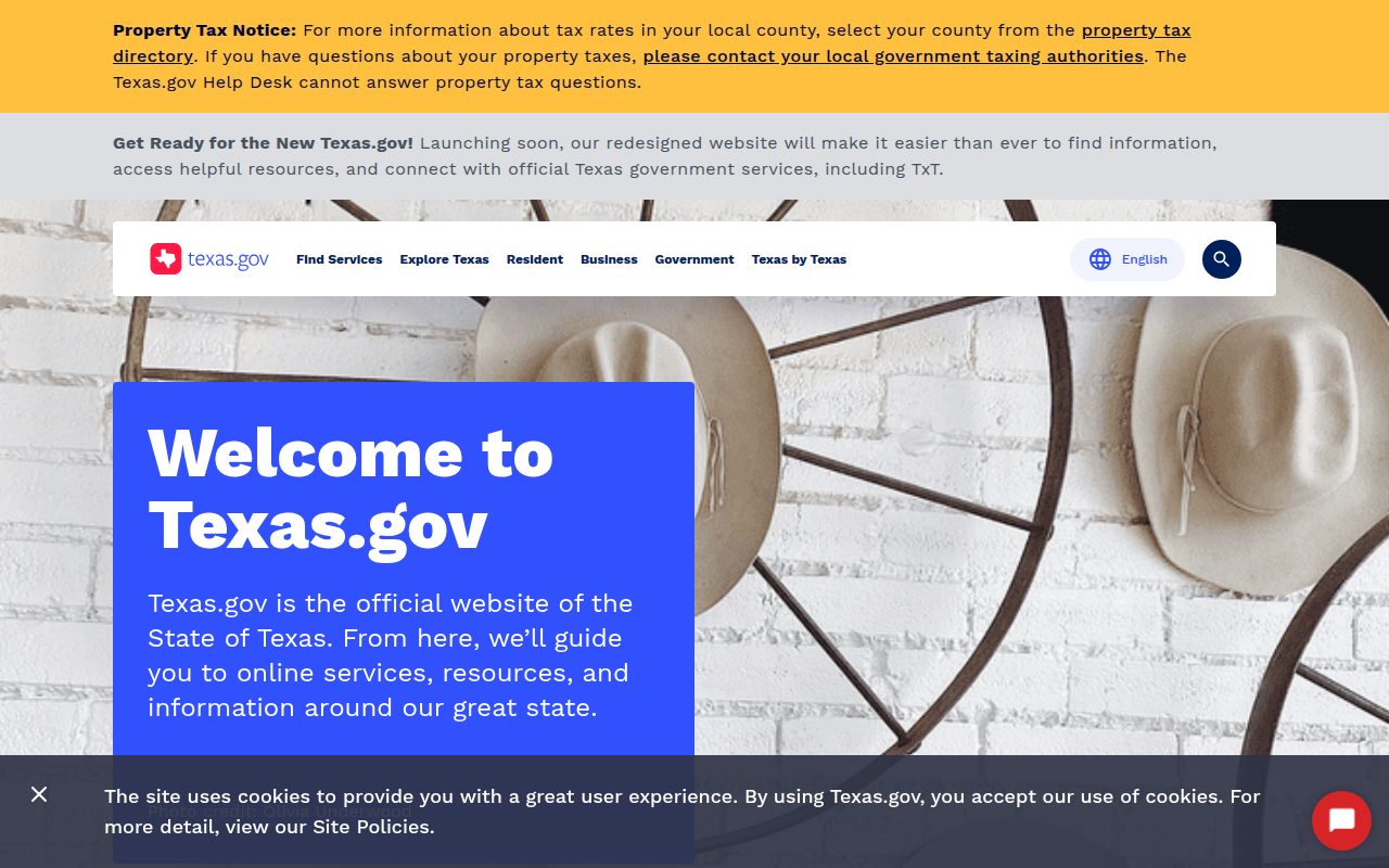 Texas.gov screenshot